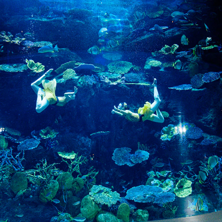 Sea Life Bangkok Tickets Thrillark